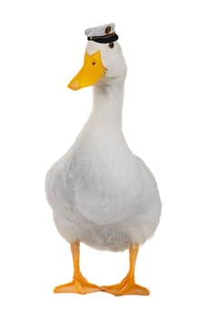  duck white on white a background           