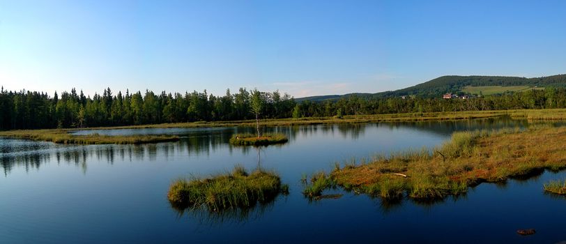 Mountain lake and swamp with lonesome birch