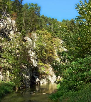 Landscape with brook, forest and a hdden rock in summer