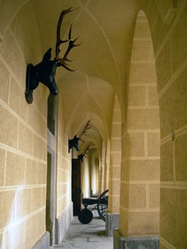 Gothic castle courtyard with canon, deer heads and lancets