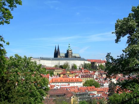 Castle and cathedral in Prague in the spring 