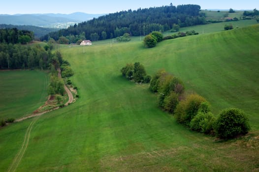 Alps with grass and fields