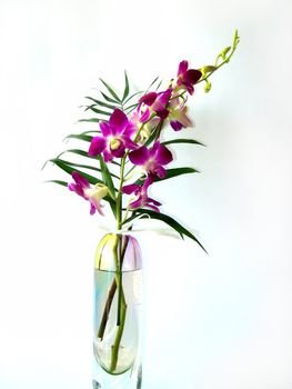           Beautiful flowers in the vase