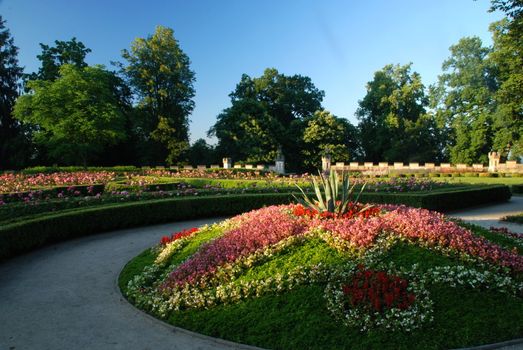 Beautiful spring garden with lines of pink roses