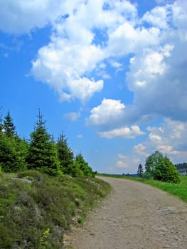  Small mountain road with forest     