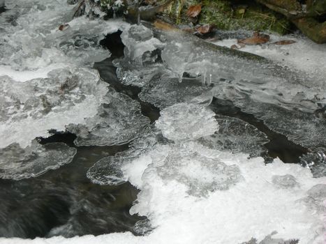                  Brook is covered by ice and water flows under them with a small strem          