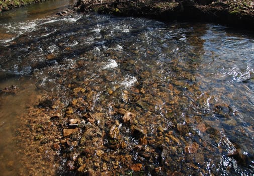 Swift and shallow mountain brook with clear water