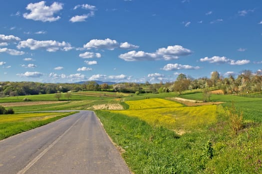 Prigorje region spring lanscape road, Croatia