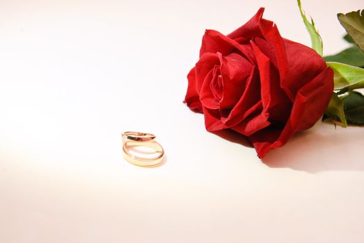 Two wedding bands and a red rose