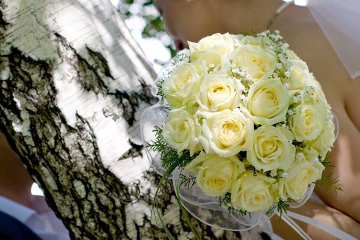 Bridal bouquet of white roses