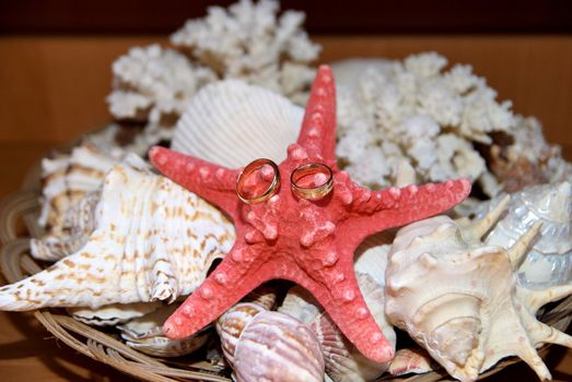 Two wedding rings on a starfish