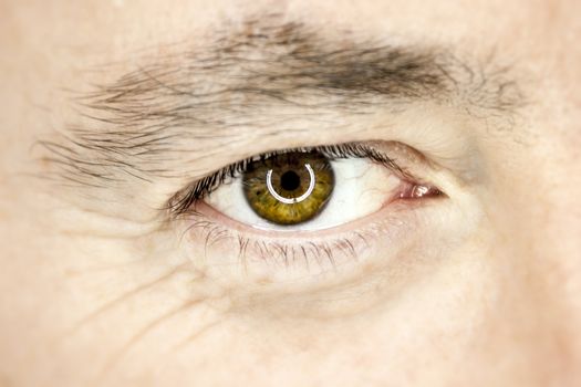 An image of a brown male eye