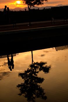 A couple reflected in a pond with a big tree at sunset