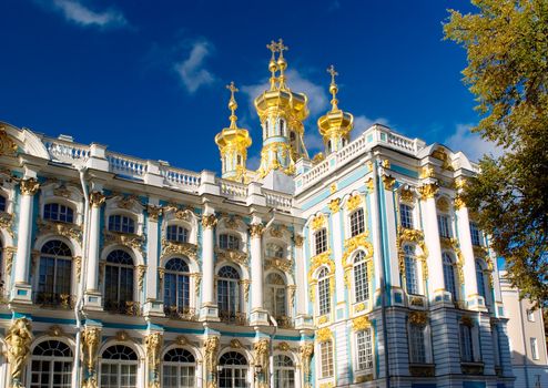 Palace in Tsarskoe selo in autumn