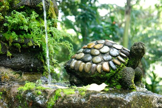 Splashing Garden Fountain with a stone turtle. 
