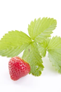 fresh red tasty strawberry isolated on white background