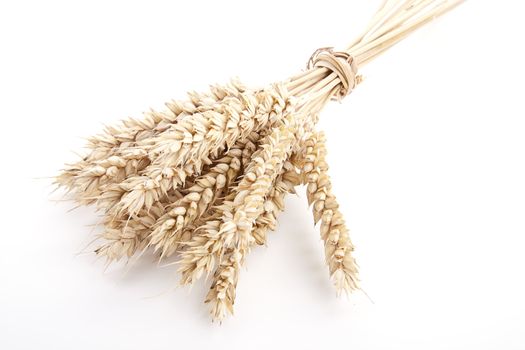close up brown wheat grain isolated on white background