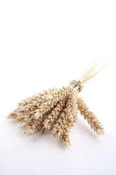 close up brown wheat grain isolated on white background