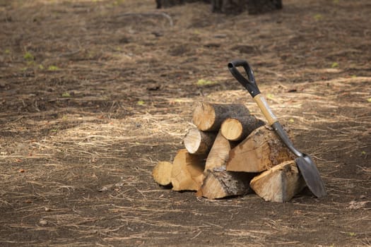 camosite with a log pile and shovel