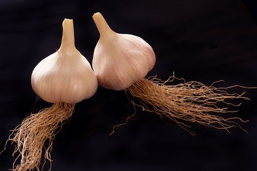 Fresh young garlic isolated on black background                               