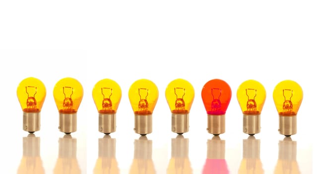 Light Bulb isolated on white background                               