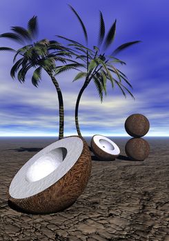 coconut and palms