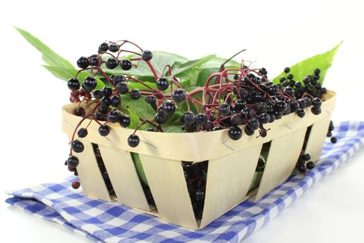 fresh elderberries and leaves in a basket