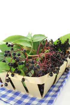 fresh elderberries and leaves in a basket