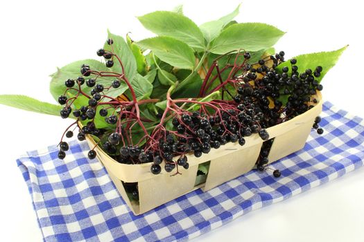 fresh elderberries and leaves in a basket