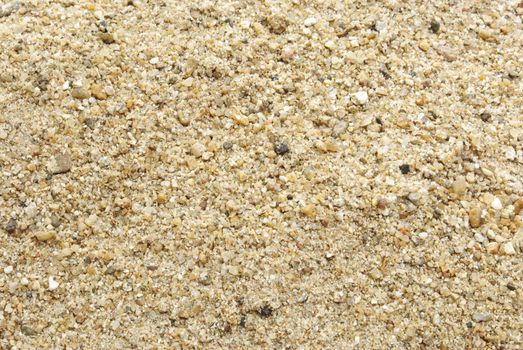 Sand Texture