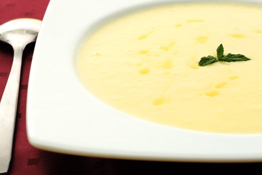 dish of cream of zucchini adorned with a few drops of olive oil and mint leaves in the foreground on a red background