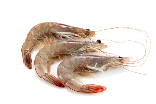 three wild prawns without preparing on a white background