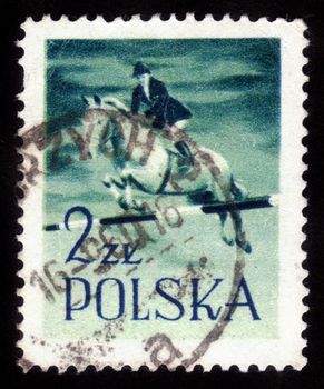POLAND - CIRCA 1960: a stamp printed in Poland showing horse with jockey, circa 1960