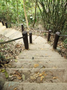 Stairway to jungle, Khao Yai national park, Thailand