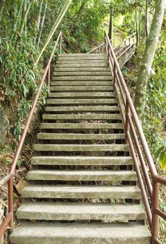 Stairway to jungle, Khao Yai national park, Thailand