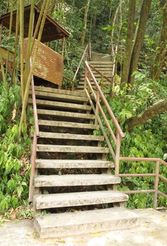 stairway to jungle, Khao Yai national park, Thailand