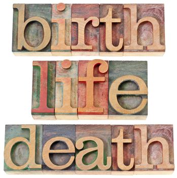 birth, life, and death - isolated words in vintage letterpress wood type stained by color inks