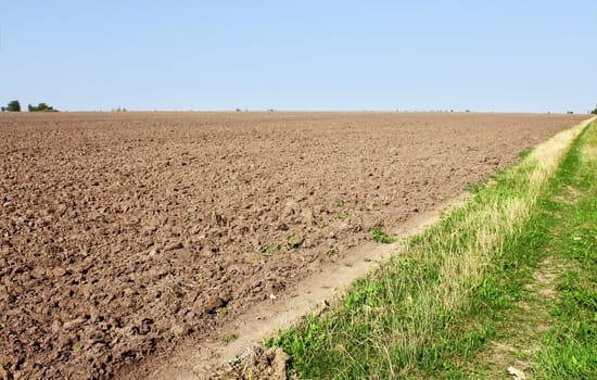 Edge of field in early autumn prepared for the next season