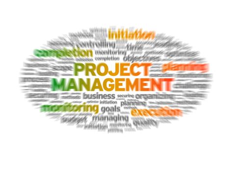 Blurred Project Management illustration on white background.