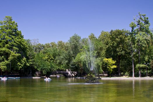 Park landscape in summer with green trees