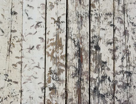 the old wood background in style grunge