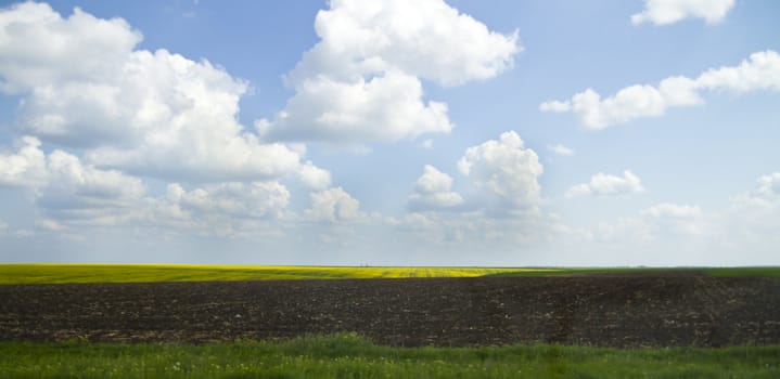 Green farmland with cloudy blue sky