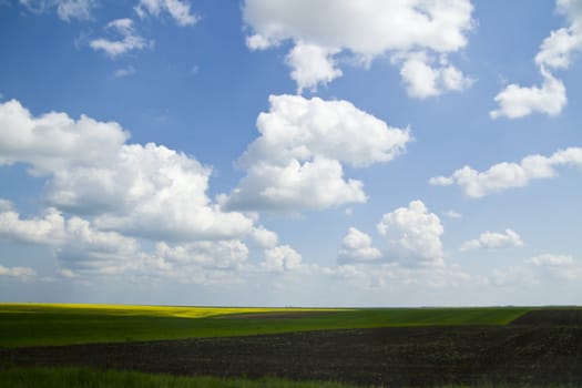 Green farmland with cloudy blue sky