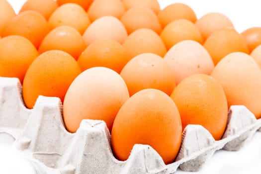 Eggs in a carton isolated on a white background