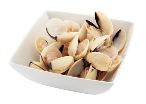 bowl of steamed clams isolated with clipping path