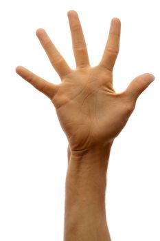 The hand of man shows five fingers on a white background