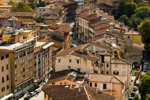 View of the roof of Pisa in Italy with world-famous Leaning Tower