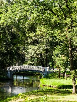 bridge over the river in the park