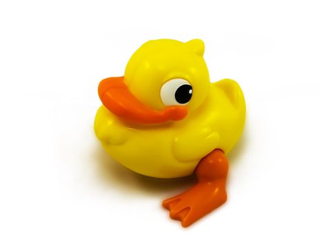 yellow duck isolated on white background with shadow