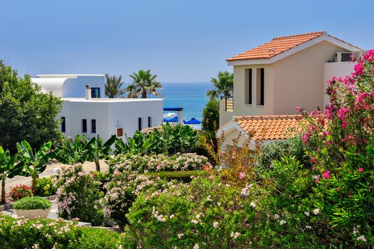 Luxurious holiday beach villas for rent on Cyprus